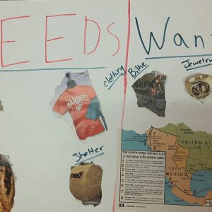 needs vs wants