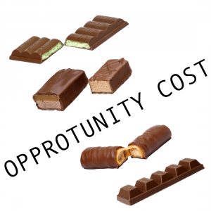 Opportunity Cost